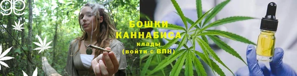хмурый Богородицк