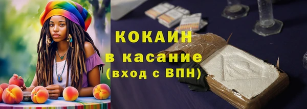 амф Богданович