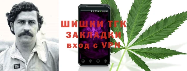 амф Богданович