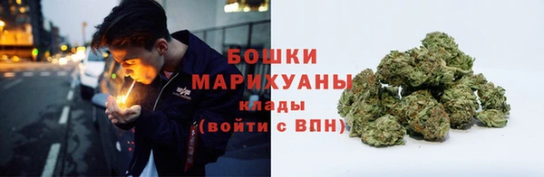 амф Богданович