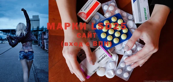 амф Богданович