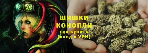 хмурый Богородицк