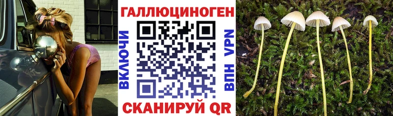 Купить где Среднеколымск Галлюциногенные грибы мухоморы